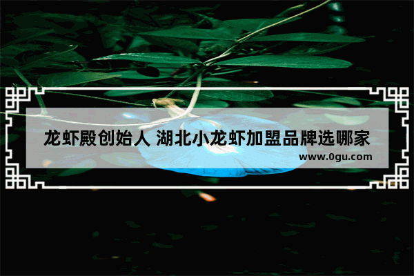 龙虾殿创始人 湖北小龙虾加盟品牌选哪家