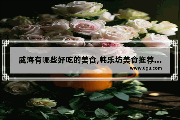 威海有哪些好吃的美食,韩乐坊美食推荐炸鸡加盟