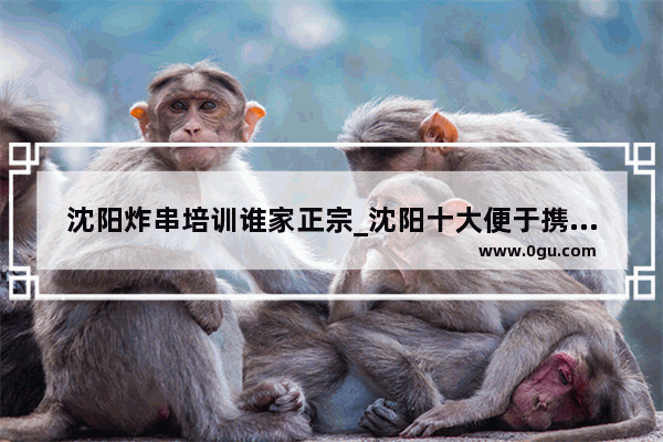 沈阳炸串培训谁家正宗_沈阳十大便于携带的特产
