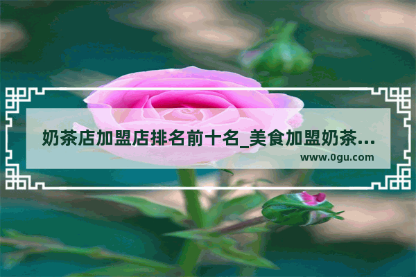 奶茶店加盟店排名前十名_美食加盟奶茶品牌推荐大全
