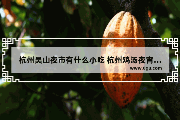 杭州吴山夜市有什么小吃 杭州鸡汤夜宵加盟店排行