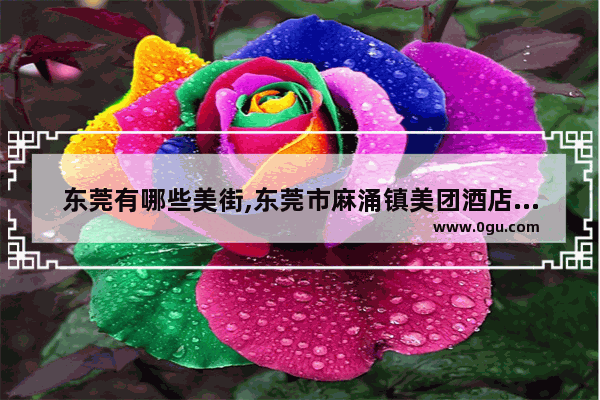 东莞有哪些美街,东莞市麻涌镇美团酒店加盟