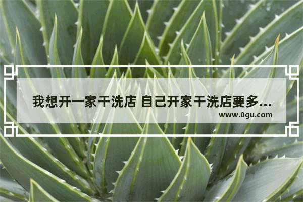 我想开一家干洗店 自己开家干洗店要多少钱 洗衣店加盟费是多少