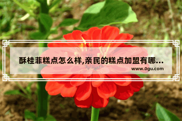 酥桂菲糕点怎么样,亲民的糕点加盟有哪些品牌