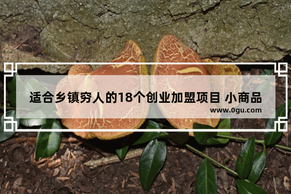 适合乡镇穷人的18个创业加盟项目 小商品加盟店推荐理由大全
