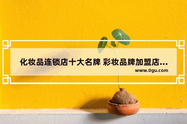 化妆品连锁店十大名牌 彩妆品牌加盟店排行榜