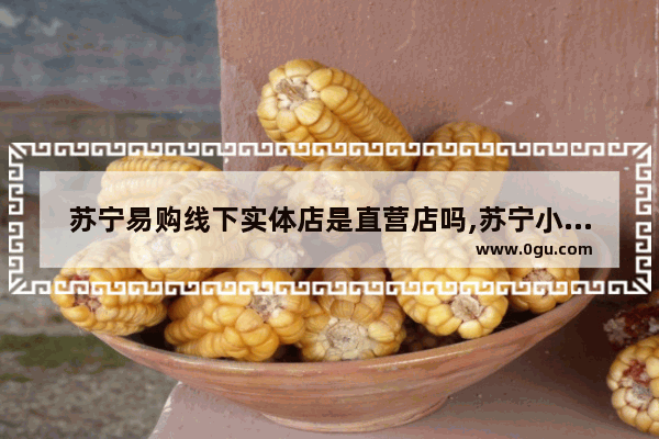 苏宁易购线下实体店是直营店吗,苏宁小店加盟店排行榜