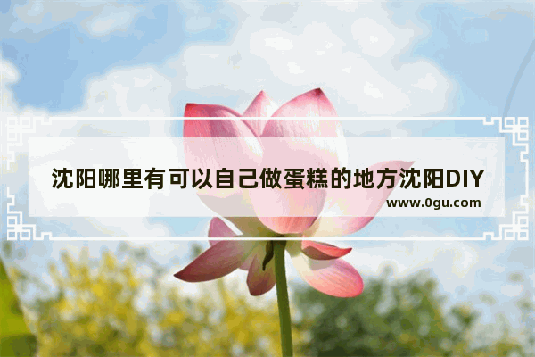 沈阳哪里有可以自己做蛋糕的地方沈阳DIY蛋糕店_沈阳哪有自己做蛋糕的地方