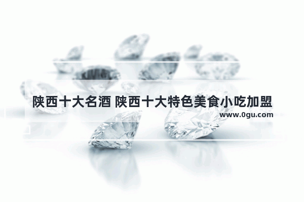 陕西十大名酒 陕西十大特色美食小吃加盟