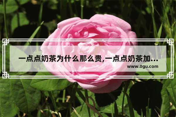 一点点奶茶为什么那么贵,一点点奶茶加盟费要多少钱
