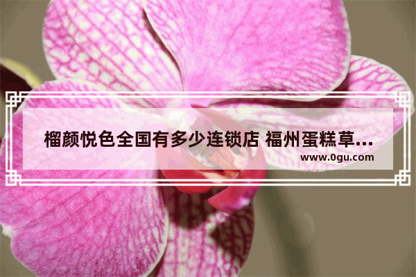 榴颜悦色全国有多少连锁店 福州蛋糕草莓芒果奶茶加盟