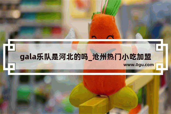 gala乐队是河北的吗_沧州热门小吃加盟
