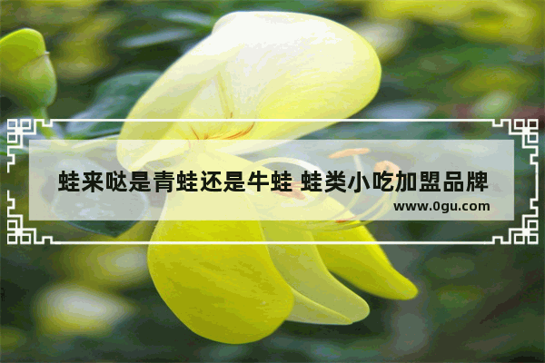 蛙来哒是青蛙还是牛蛙 蛙类小吃加盟品牌