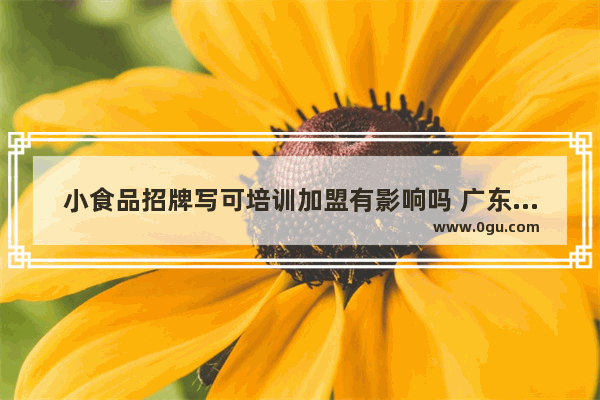 小食品招牌写可培训加盟有影响吗 广东加盟小吃摊可以吗