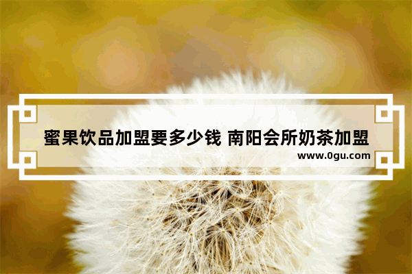 蜜果饮品加盟要多少钱 南阳会所奶茶加盟