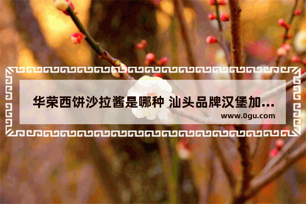 华荣西饼沙拉酱是哪种 汕头品牌汉堡加盟费