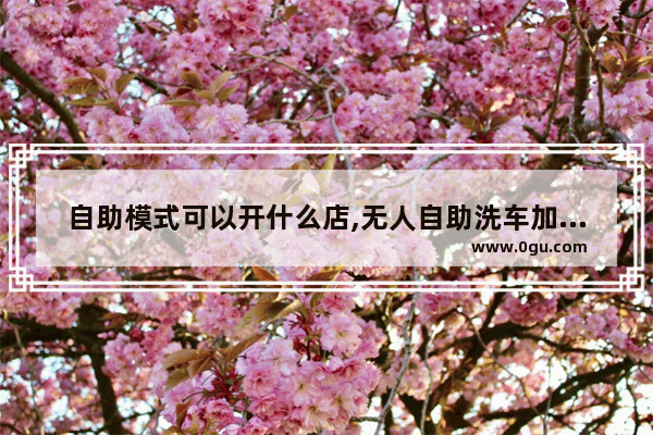 自助模式可以开什么店,无人自助洗车加盟店排行榜