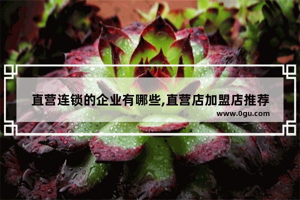 直营连锁的企业有哪些,直营店加盟店推荐