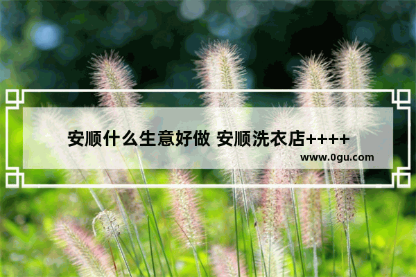 安顺什么生意好做 安顺洗衣店++++