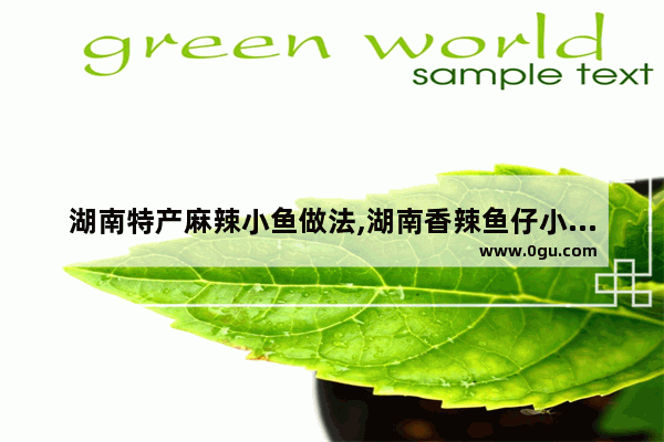 湖南特产麻辣小鱼做法,湖南香辣鱼仔小吃加盟