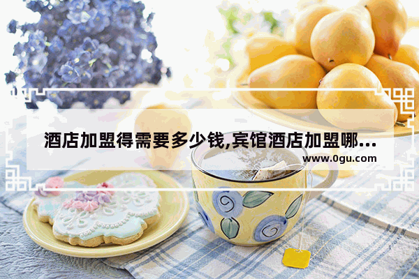 酒店加盟得需要多少钱,宾馆酒店加盟哪家比较好