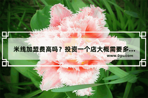 米线加盟费高吗？投资一个店大概需要多少钱,贵州连锁米线品牌加盟价格