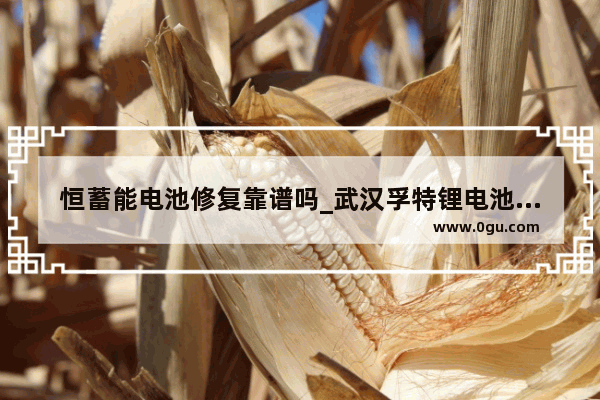 恒蓄能电池修复靠谱吗_武汉孚特锂电池加盟是真的吗
