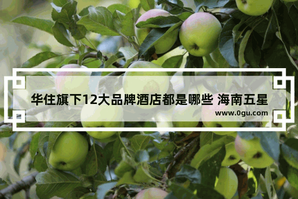 华住旗下12大品牌酒店都是哪些 海南五星酒店加盟