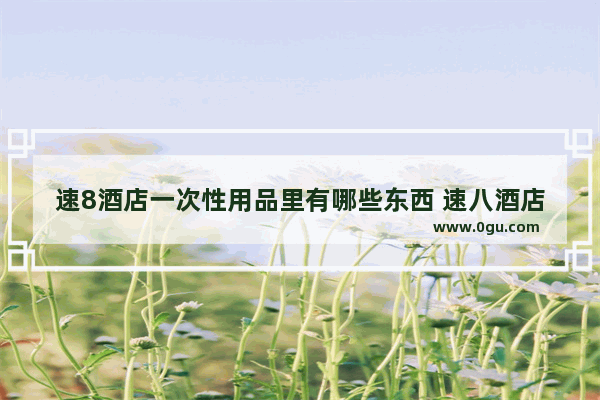 速8酒店一次性用品里有哪些东西 速八酒店++++