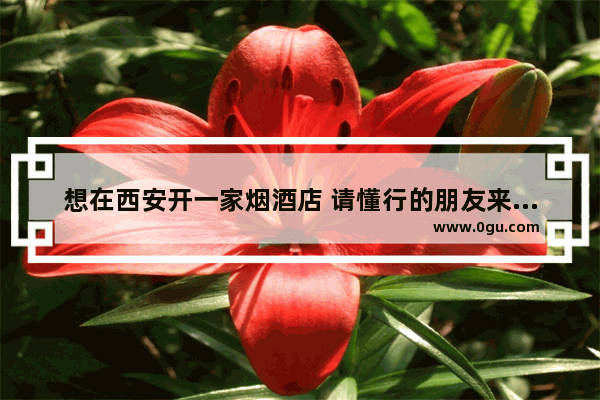想在西安开一家烟酒店 请懂行的朋友来帮忙解答问题 陕西加盟的烟酒店排行榜