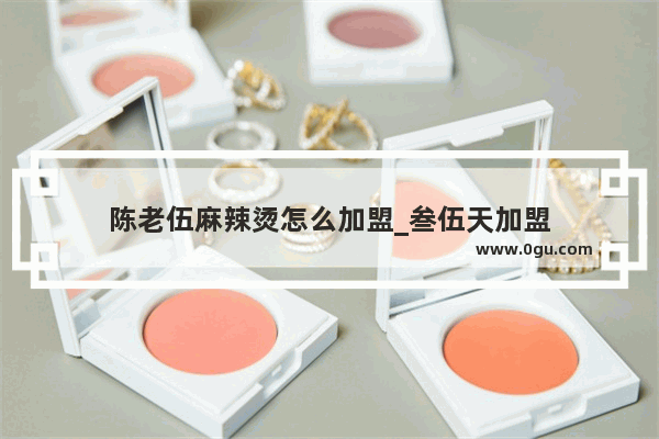 陈老伍麻辣烫怎么加盟_叁伍天加盟