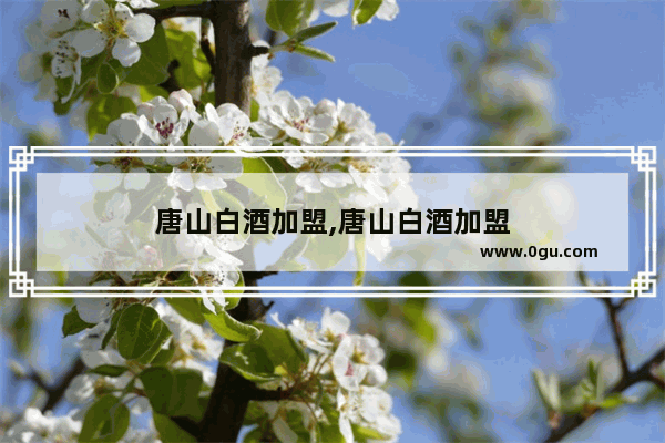 唐山白酒加盟,唐山白酒加盟