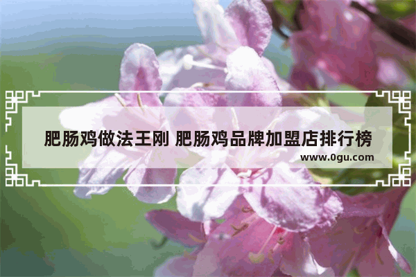 肥肠鸡做法王刚 肥肠鸡品牌加盟店排行榜