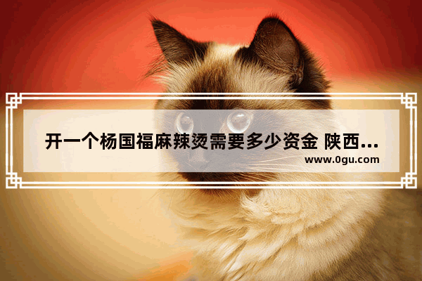 开一个杨国福麻辣烫需要多少资金 陕西小吃五汤麻辣烫加盟
