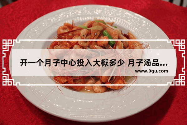 开一个月子中心投入大概多少 月子汤品牌加盟