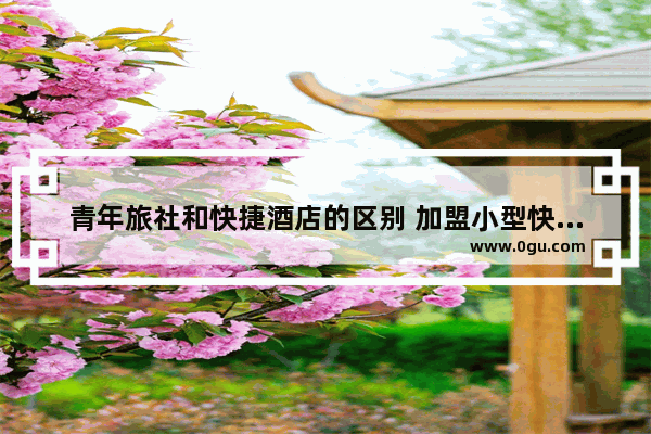 青年旅社和快捷酒店的区别 加盟小型快捷酒店