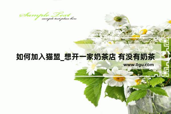 如何加入猫盟_想开一家奶茶店 有没有奶茶好喝、加盟费低的牌子啊