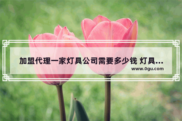 加盟代理一家灯具公司需要多少钱 灯具加盟店排行前十品牌