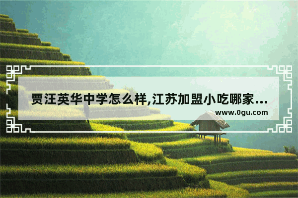 贾汪英华中学怎么样,江苏加盟小吃哪家好点