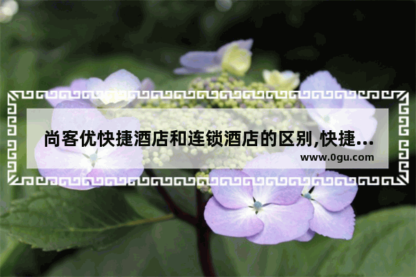 尚客优快捷酒店和连锁酒店的区别,快捷酒店加盟哪个牌子好