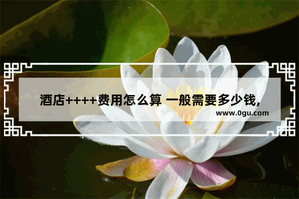 酒店++++费用怎么算 一般需要多少钱,知名城市便捷酒店加盟