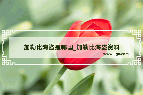 加勒比海盗是哪国_加勒比海盗资料