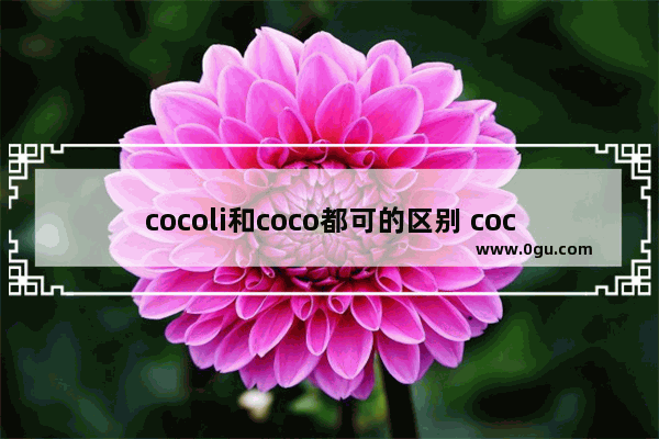 cocoli和coco都可的区别 coco都可天津加盟品牌
