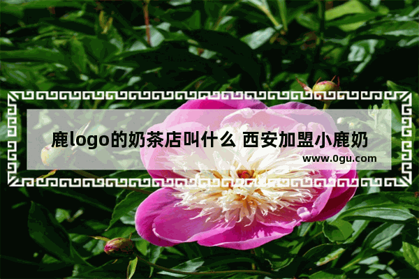 鹿logo的奶茶店叫什么 西安加盟小鹿奶茶
