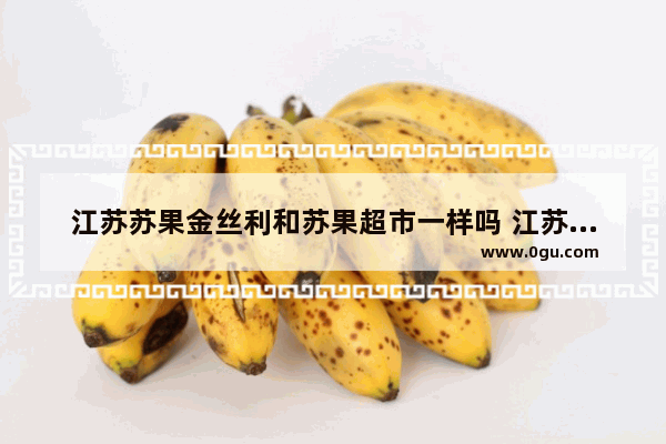 江苏苏果金丝利和苏果超市一样吗 江苏小吃餐饮加盟店排行榜