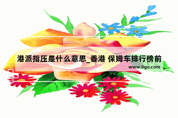 港派指压是什么意思_香港 保姆车排行榜前十名