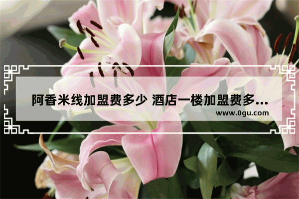 阿香米线加盟费多少 酒店一楼加盟费多少合适