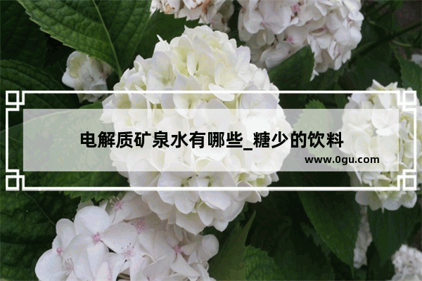 电解质矿泉水有哪些_糖少的饮料