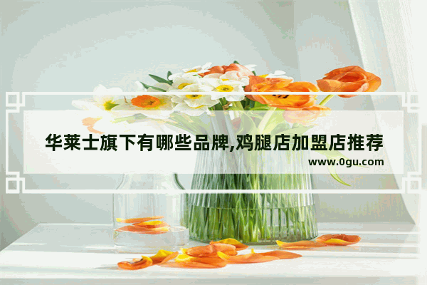 华莱士旗下有哪些品牌,鸡腿店加盟店推荐