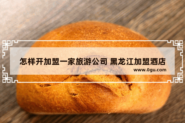 怎样开加盟一家旅游公司 黑龙江加盟酒店